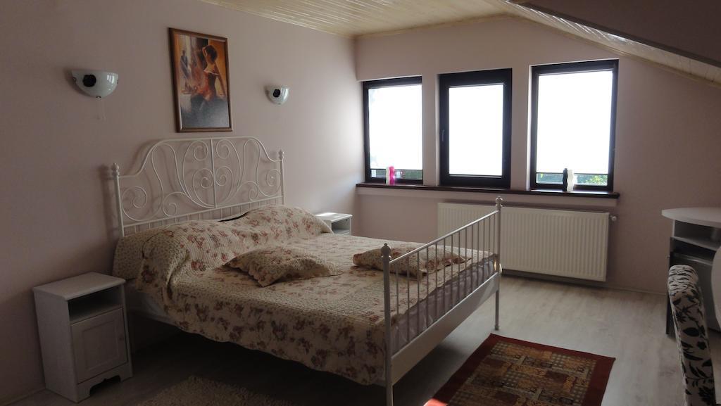 Vila Europa Sărata-Monteoru Zimmer foto